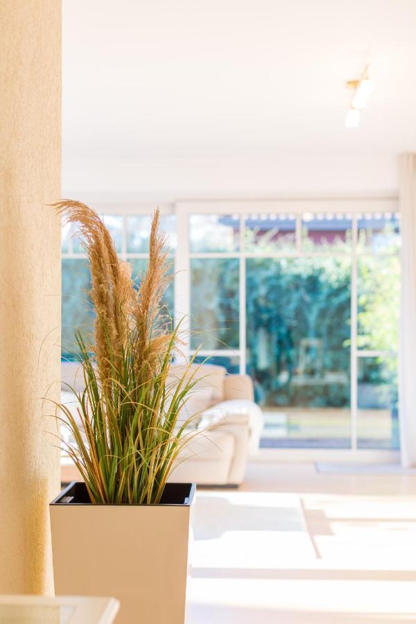 Premium-Lodge Im Der Suedschwede ... Dein Gaestehaus Mitten In Zingst Exterior photo